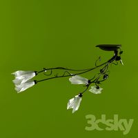 assive
