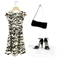 Dress, shoes and bag
