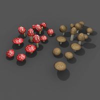 Mushroom and Toadstools