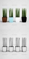 CGAxis Potted Plants 09