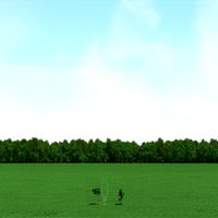 Maple (Acer) Trees 3d Models