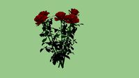 a bunch of roses