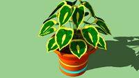 House plant