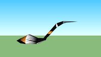 grebe