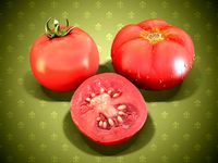 Tomatoes