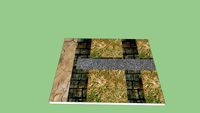 terrain