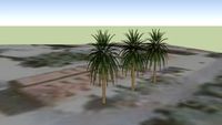 Palm trees infront of hotel 'Pine'