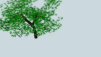 test lll