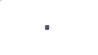 Piston Seals