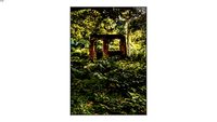 Quadro Guilherme Pessanha - Abandonada