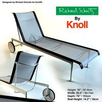 Anatomic Richard Schultz by Knoll
