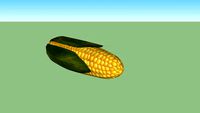 Maiskolben