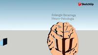 Neuro-Psicología