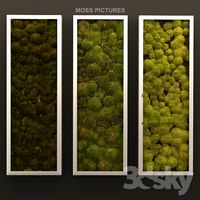 Moss pictures