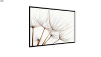Quadro Dandelion Sepia - Ammo Quadros