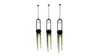 Warmly _ Wren modern Nordic sky garden planter lamp _ Model by Pooh