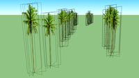 Kalakaua Avenue Landscaping