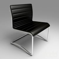 Meeting Chair