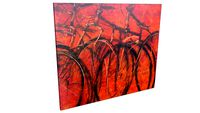 Quadro Bicliceta