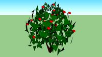 Cotoneaster