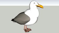 Updated Seagull