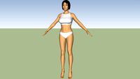 Female Body