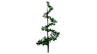 Spiral hedge topiary shrub