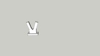 Y support jetway