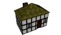 Medieval House