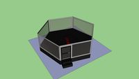 Bellator octagon