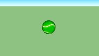 Tennis Ball