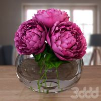 flowers peony