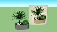 2 plants in one