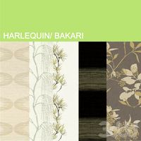 Harlequin, Bakari