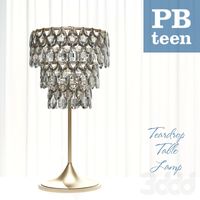 Pottery Barn Teardrop Table Lamp