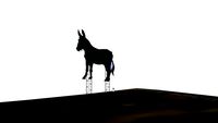 BURRO GRANDE