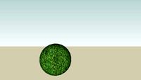 Tennis Ball