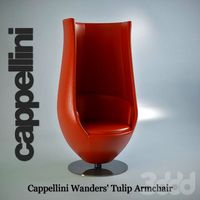 Cappellini Wanders' Tulip Armchair