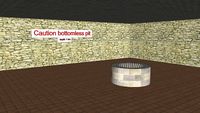 bottomless pit