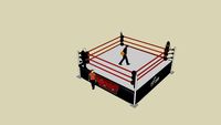 WWE Real Scale Wrestling Ring