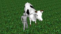 cow