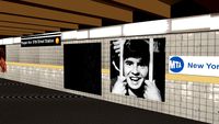 Pauper Ave/57th Street Station