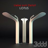 Liebe zum Detail's LOTUS