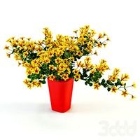 Вазончик