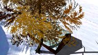 'SetTree3D': Old Larch (winter)