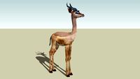 Gerenuk Antelope/Gazelle Photo Textured