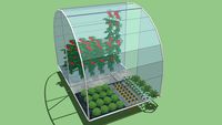 Greenhouse with veggys