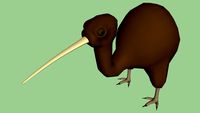 Kiwi