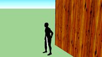 Irian Jaya man in Kariwari house-Sentani