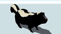 Skunk